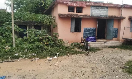 செடி, கொடிகளை அகற்றுவார்களா? செடி, கொடிகளை அகற்றுவார்களா?