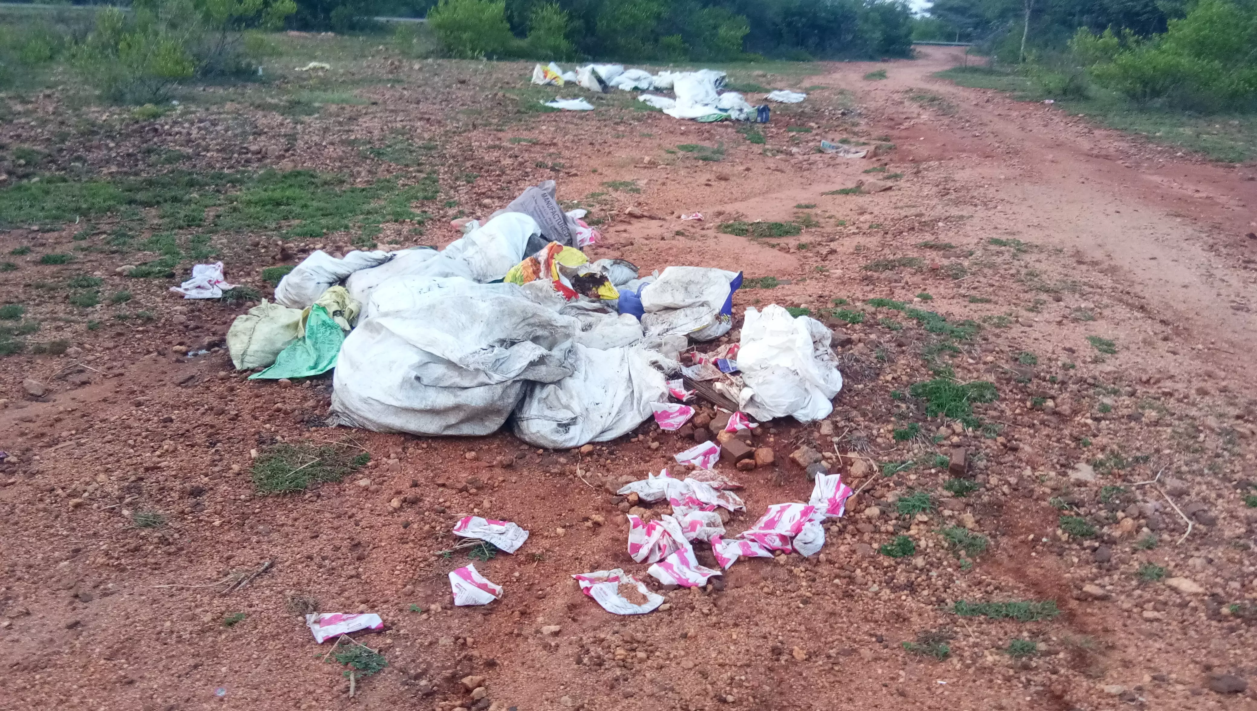 சாலையோரம் கொட்டப்படும் பிளாஸ்டிக் கழிவுகள் சாலையோரம் கொட்டப்படும் பிளாஸ்டிக் கழிவுகள்