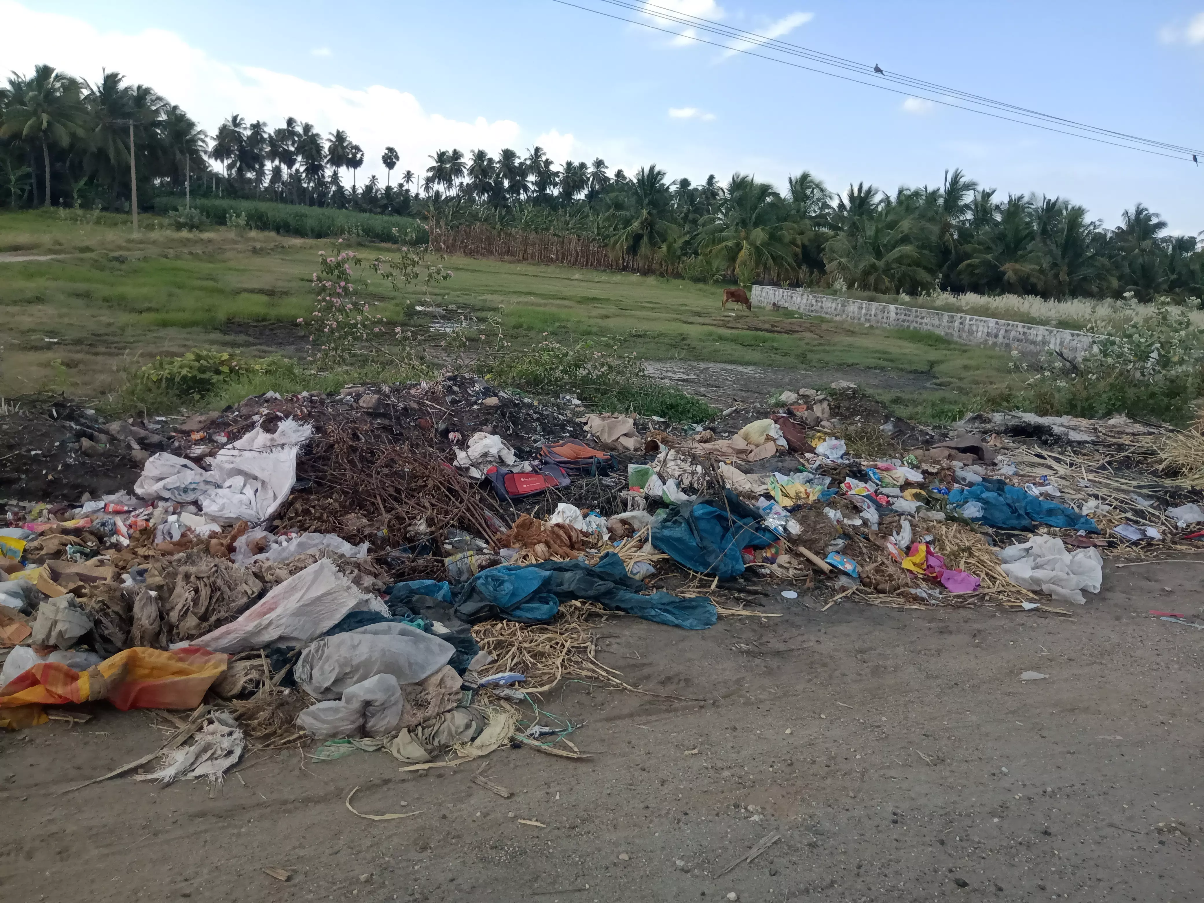 சாலையோரத்தில் கொட்டப்படும் பிளாஸ்டிக் கழிவுகள்