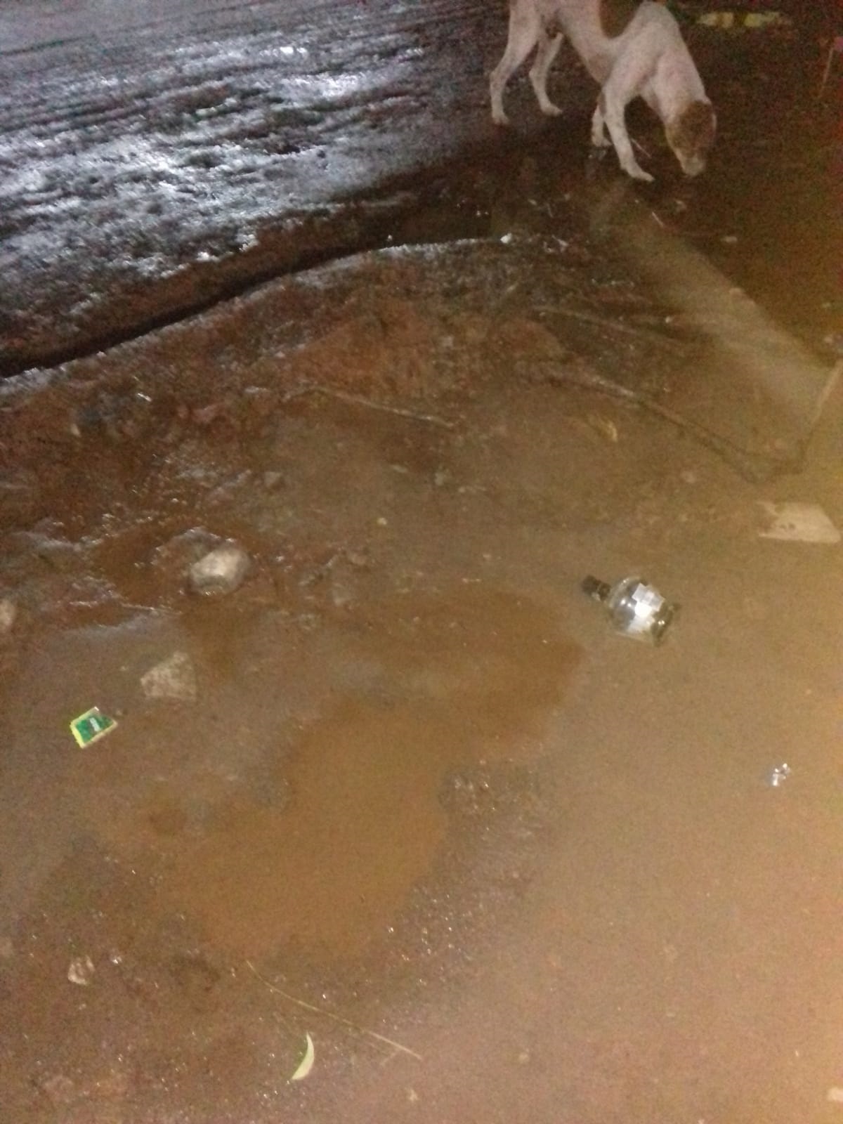 தேங்கி நிற்கும் கழிவுநீர்