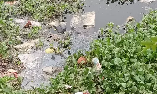 எண்ணெய் கசிவுடன் குளம் எண்ணெய் கசிவுடன் குளம்