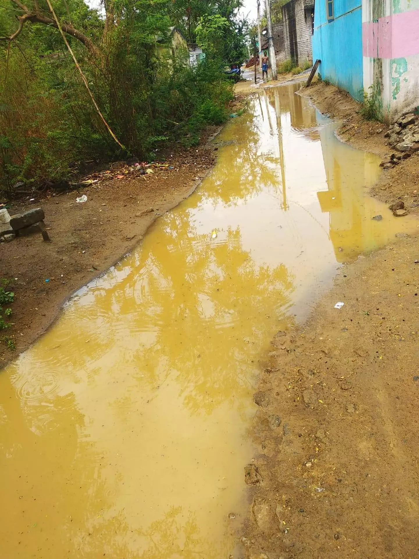 கால்வாய், சாலை வசதி தேவை கால்வாய், சாலை வசதி தேவை