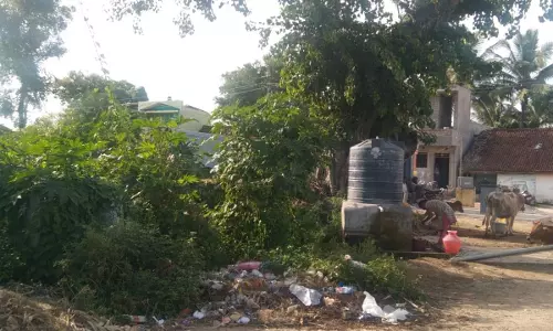 குப்பைகளை அகற்ற வேண்டும்