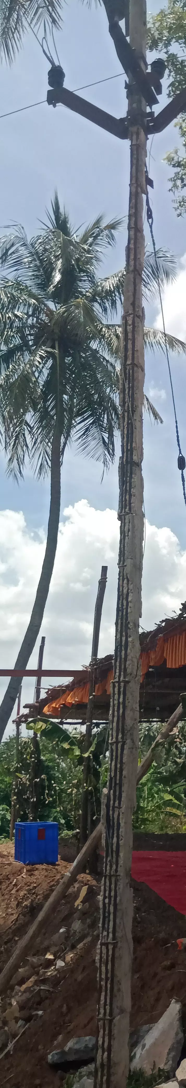 எலும்பு கூடான மின்கம்பம்