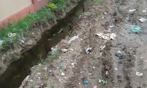 நோய் பரவும் அபாயம்