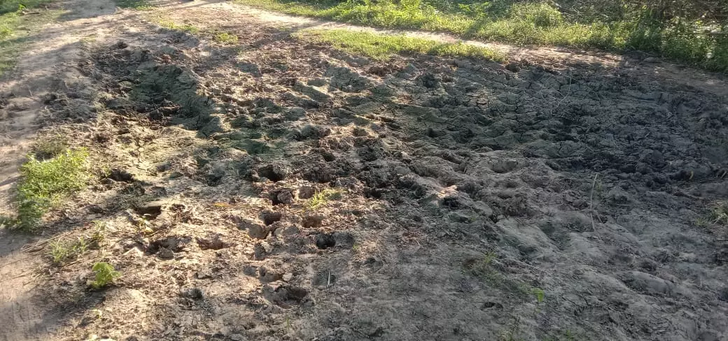 சாலை வசதி வேண்டும்