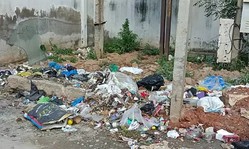 குப்பைகள் அகற்றப்படுமா?