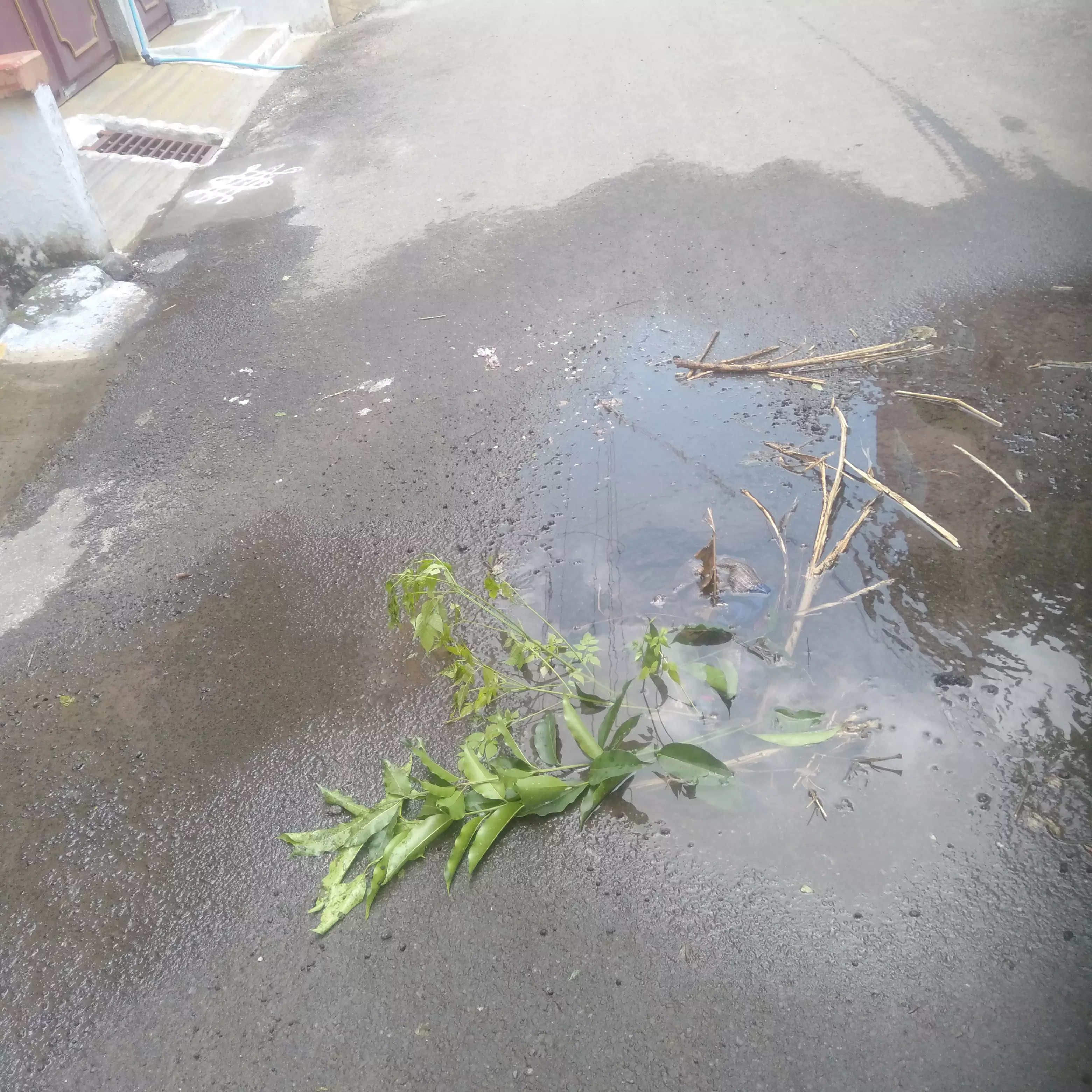 வீணாகும் குடிநீர் வீணாகும் குடிநீர்