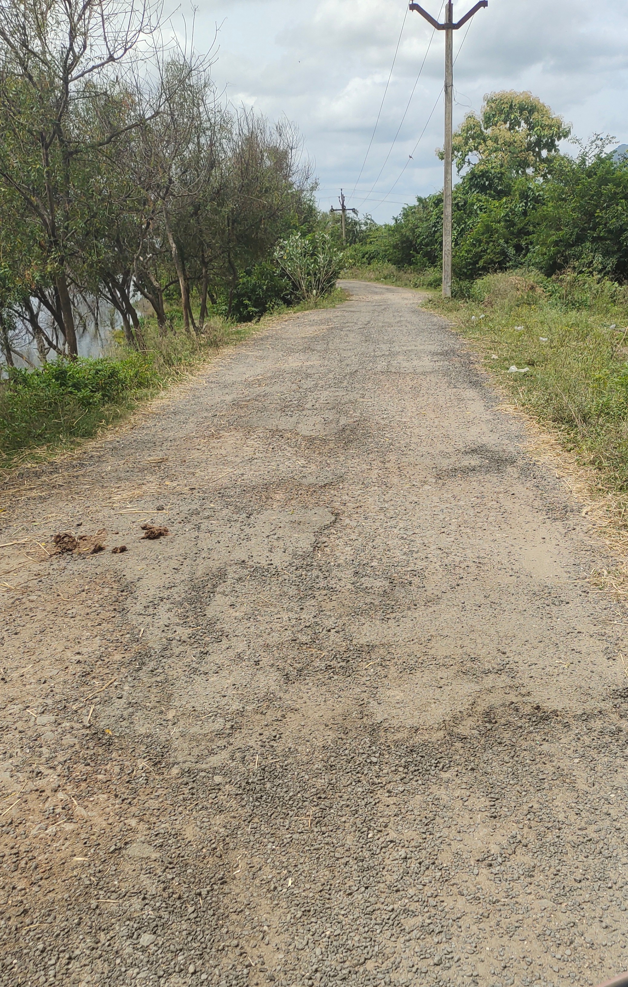 குண்டும் குழியுமான சாலை குண்டும் குழியுமான சாலை