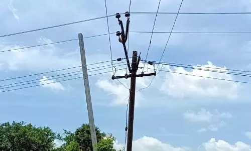 வயலில் ஆபத்தான மின்கம்பம் வயலில் ஆபத்தான மின்கம்பம்