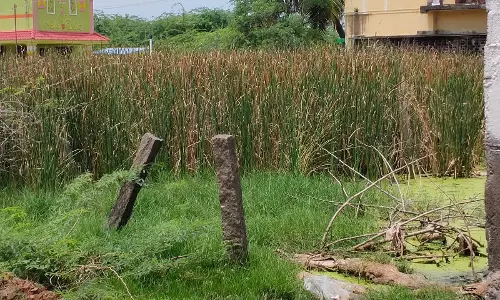 டெங்கு காய்ச்சல் பரவும் அபாயம் டெங்கு காய்ச்சல் பரவும் அபாயம்