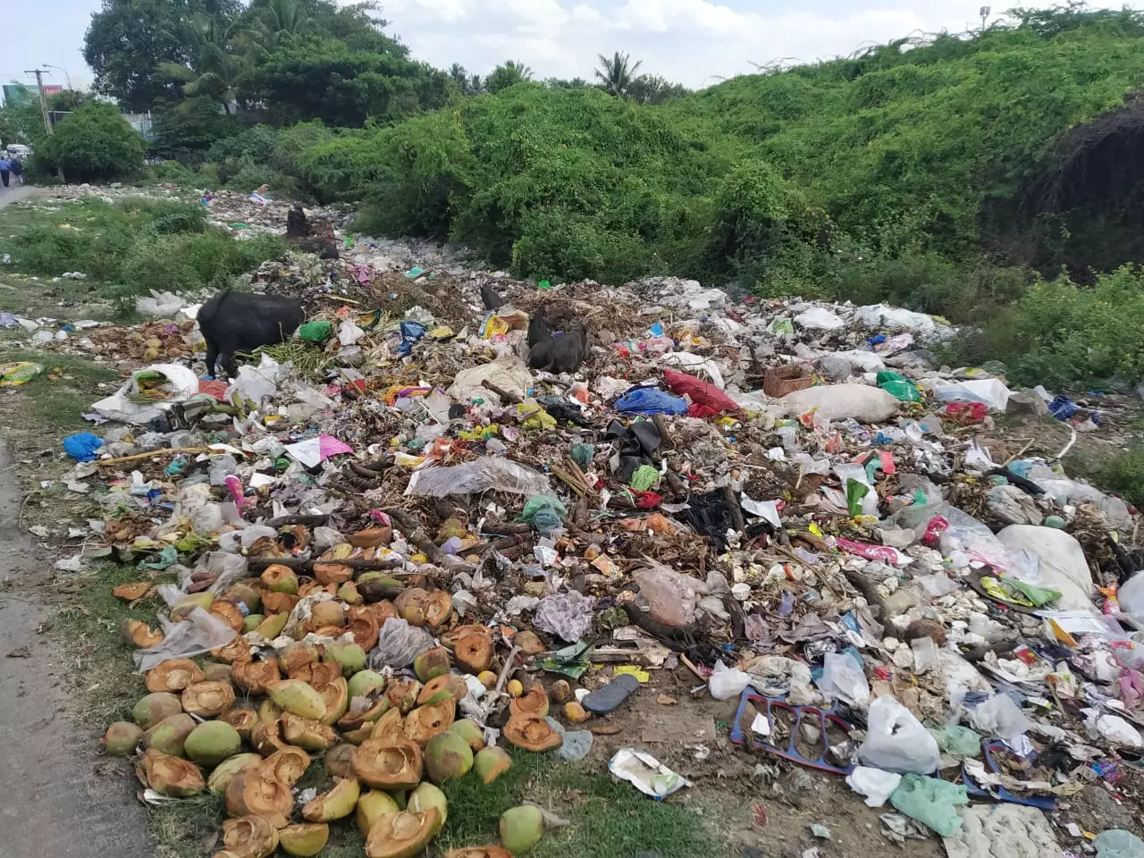 குப்பைகளால் சுகாதார சீர்கேடு குப்பைகளால் சுகாதார சீர்கேடு