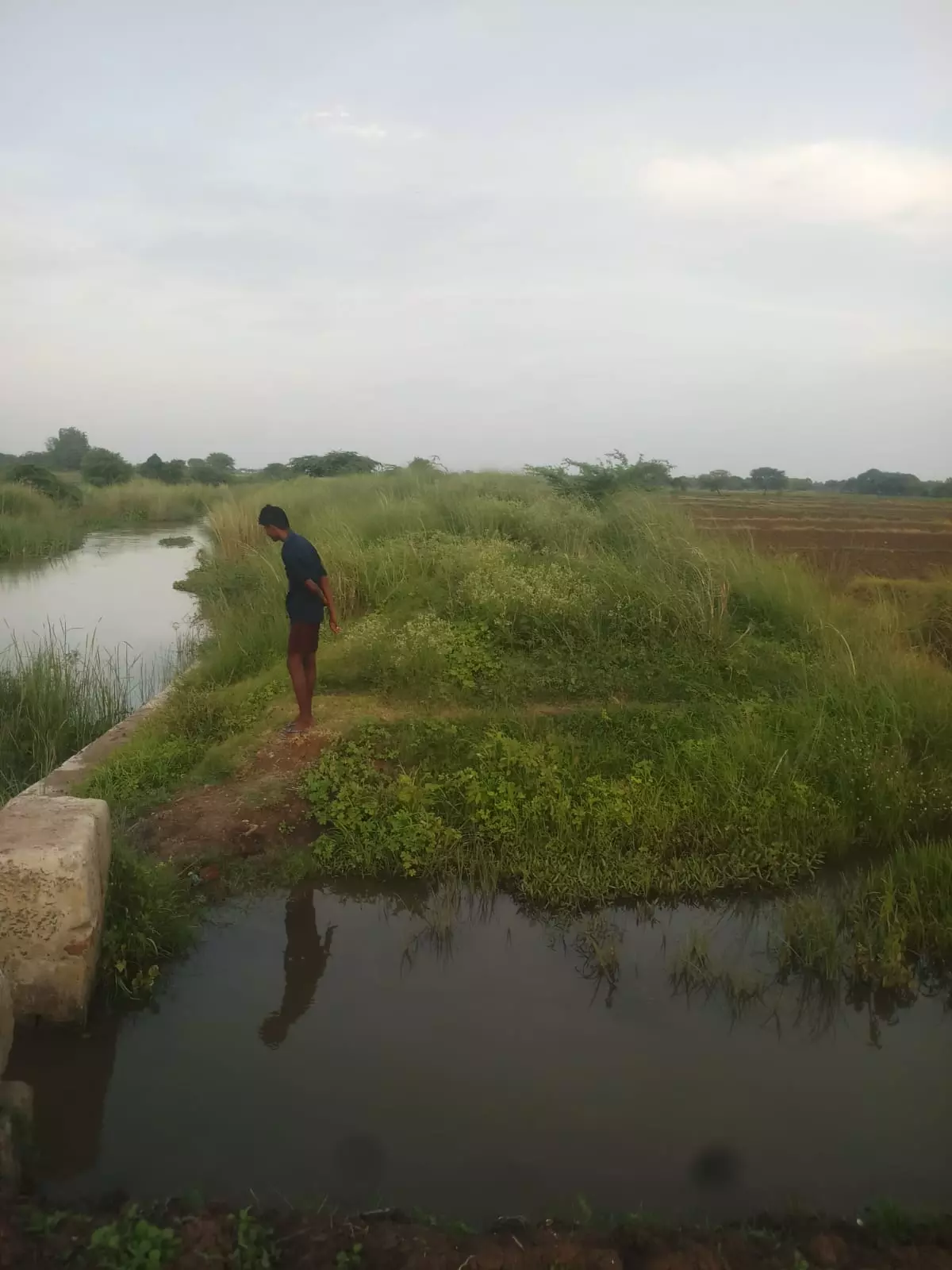 வடிகால் வாய்க்கால் தூர்வாரப்படுமா?