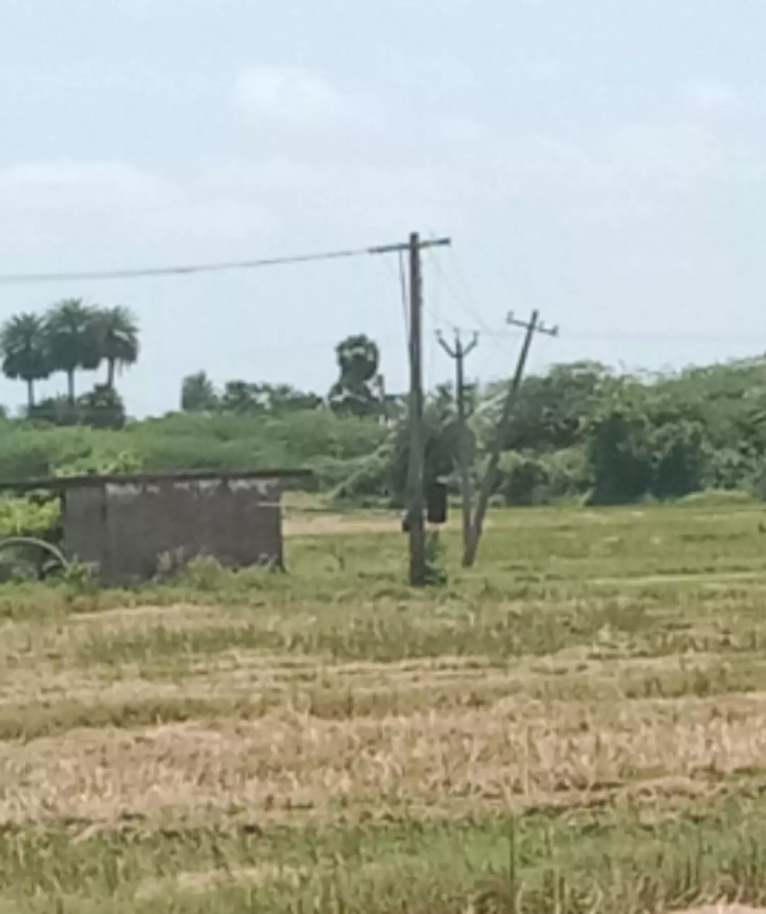 சாய்ந்த மின்கம்பம் சாய்ந்த மின்கம்பம்