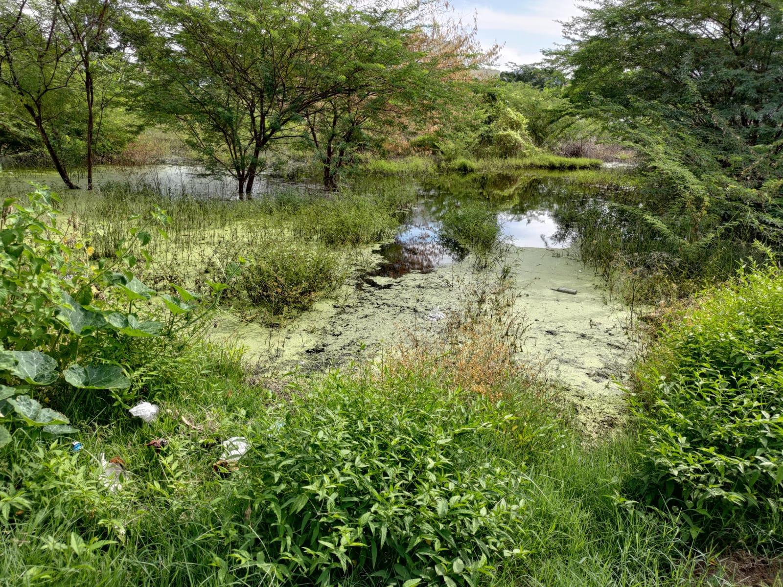 வடிகால் வசதி தேவை வடிகால் வசதி தேவை