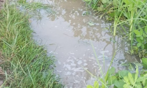 நீர்வரத்து கால்வாய் ஆக்கிரமிப்பு நீர்வரத்து கால்வாய் ஆக்கிரமிப்பு