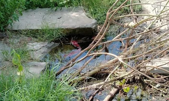 வால்வில் கசிந்து வீணாகும் குடிநீர்