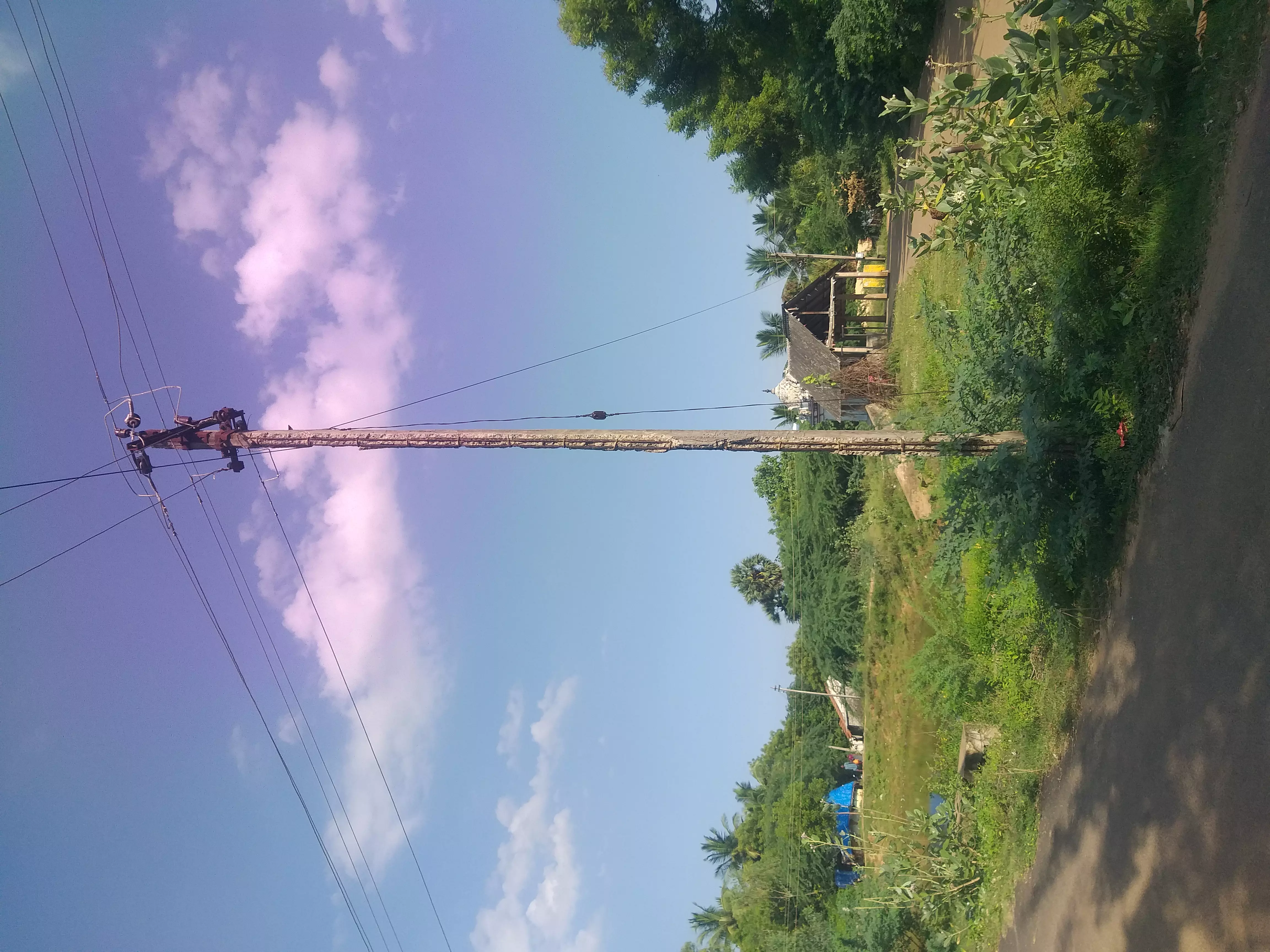 எலும்பு கூடான மின்கம்பம் எலும்பு கூடான மின்கம்பம்