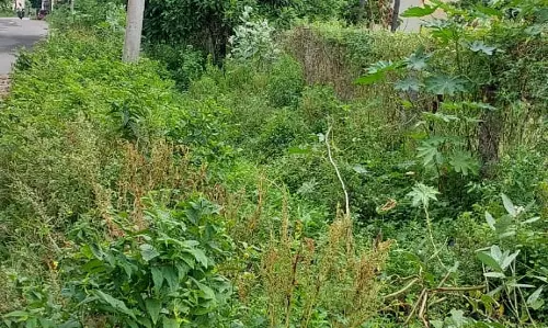 விவசாய நிலம் பாதிப்பு விவசாய நிலம் பாதிப்பு