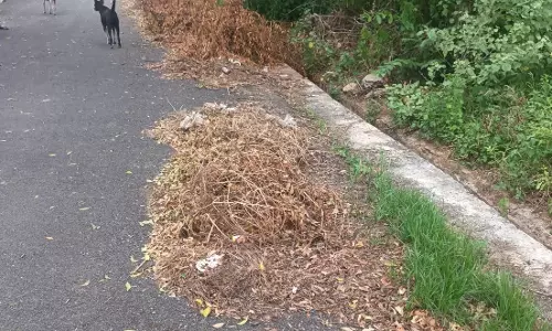 குப்பையை அகற்ற வேண்டும் குப்பையை அகற்ற வேண்டும்