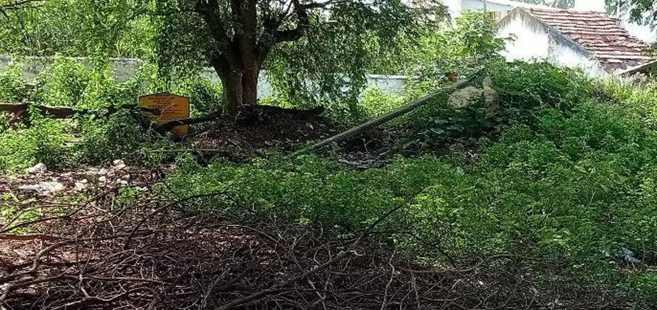 ஆக்கிரமிப்பு அகற்றப்படுமா ஆக்கிரமிப்பு அகற்றப்படுமா