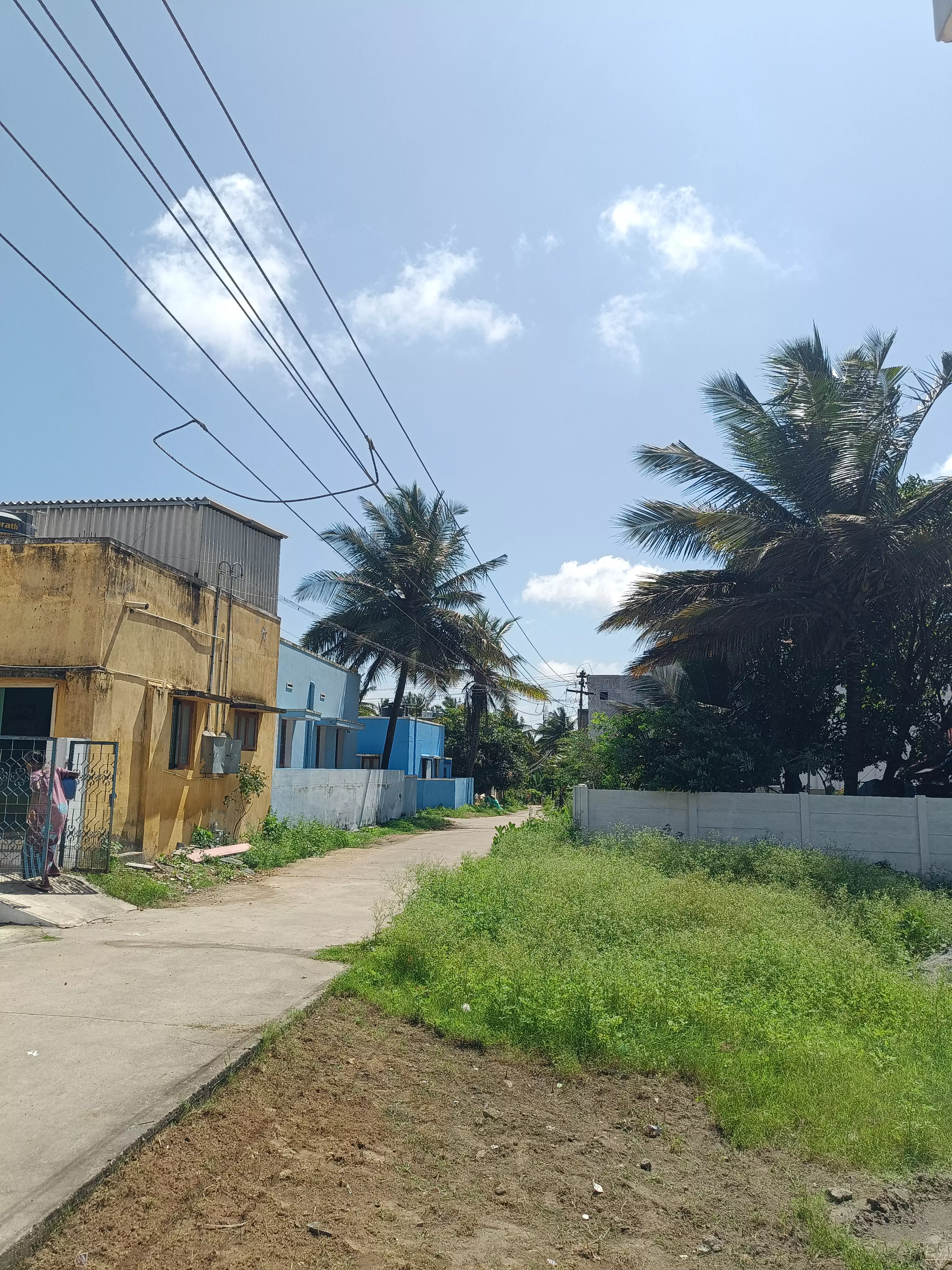 மின்கம்பி கைக்கு எட்டும் தூரத்தில் மின்கம்பி கைக்கு எட்டும் தூரத்தில்