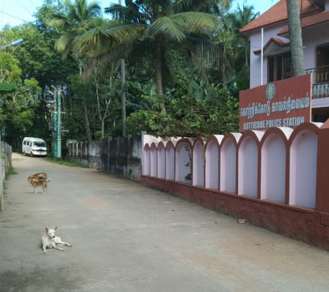 தெருநாய்கள் தொல்லை