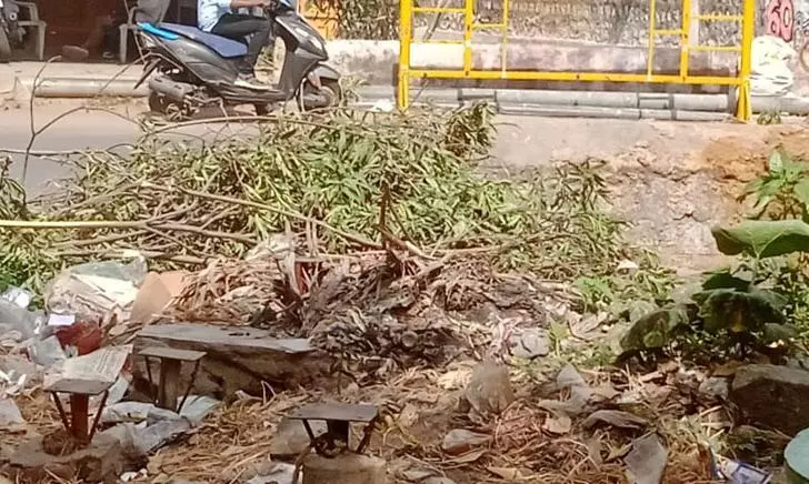 குப்பைகளால் சுகாதார கேடு