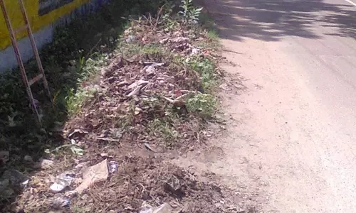 புகார் பெட்டி செய்தி எதிரொலி