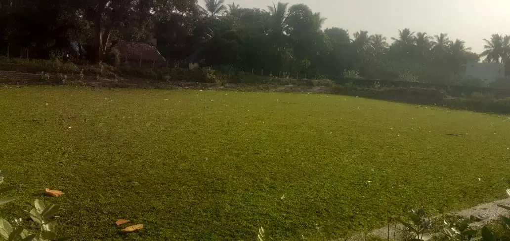 கோவில் குளம் தூர்வாரப்படுமா? கோவில் குளம் தூர்வாரப்படுமா?