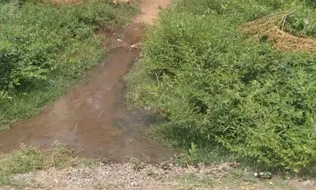 பாதையில் தேங்கி நிற்கும் கழிவுநீர் பாதையில் தேங்கி நிற்கும் கழிவுநீர்