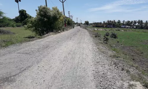 சாலை சீரமைக்கப்படுமா?