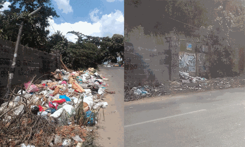 குப்பைகள் அகற்றப்பட்டது