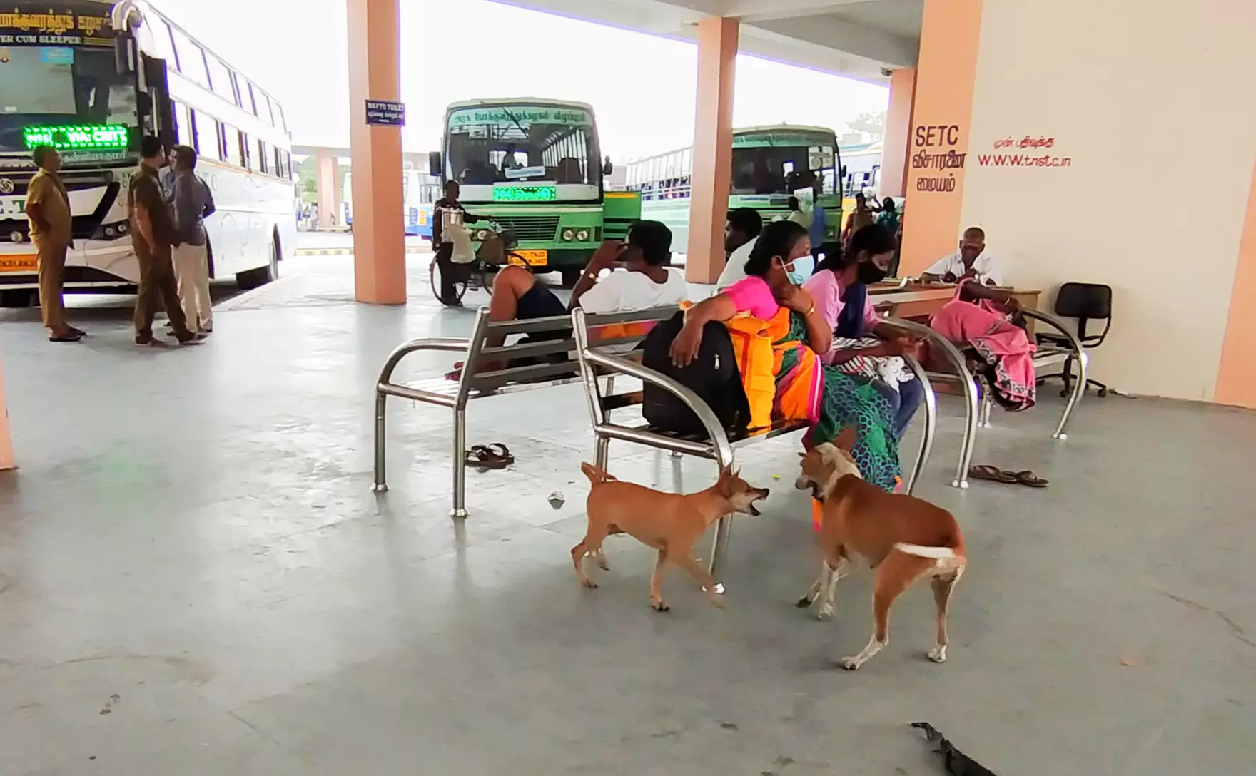 பயணிகளை அச்சுறுத்தும் நாய்கள்