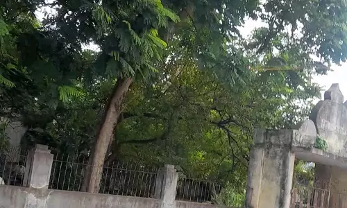 மதுக்கூடமாக செயல்படும் பூங்கா