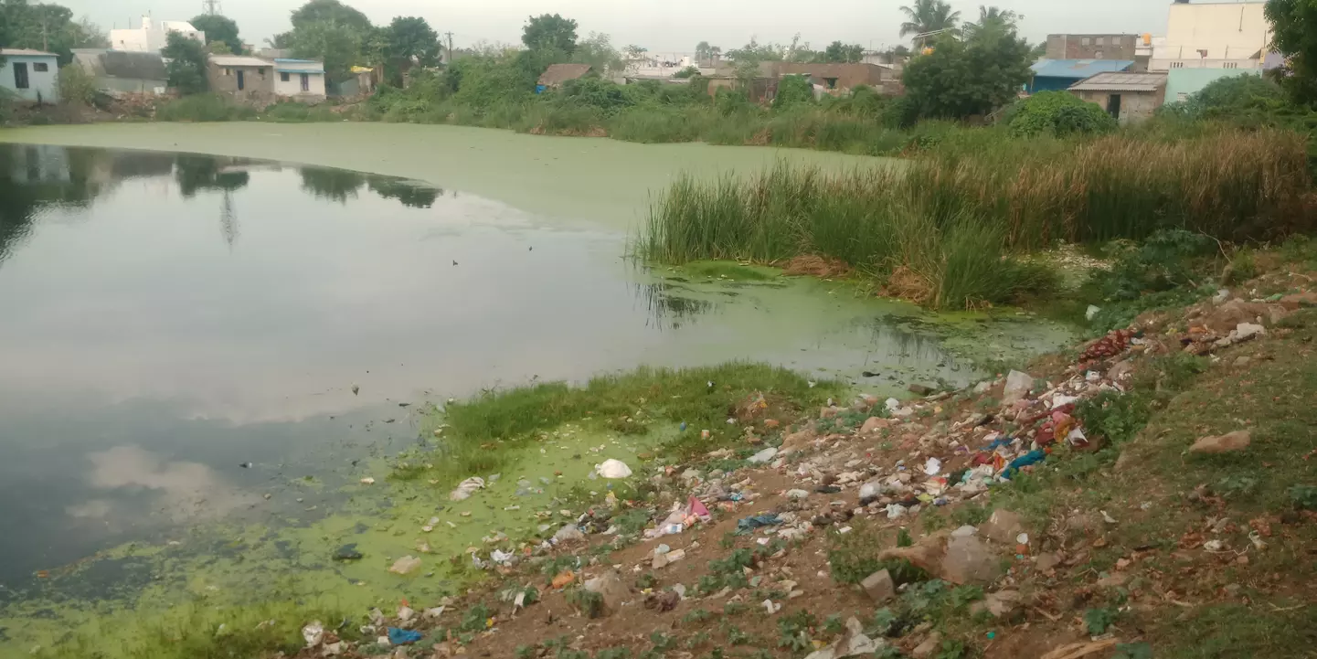 குளத்தை சீரமைக்க வேண்டும்