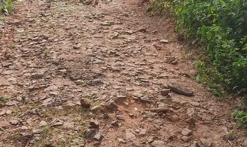 ஜல்லிகள் பெயா்ந்த சாலை ஜல்லிகள் பெயா்ந்த சாலை