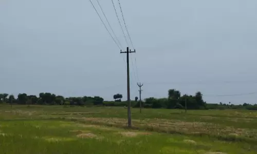 தினத்தந்திக்கு நன்றி