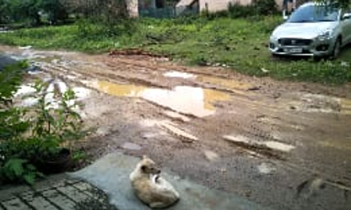 தெருவெல்லாம் சகதி