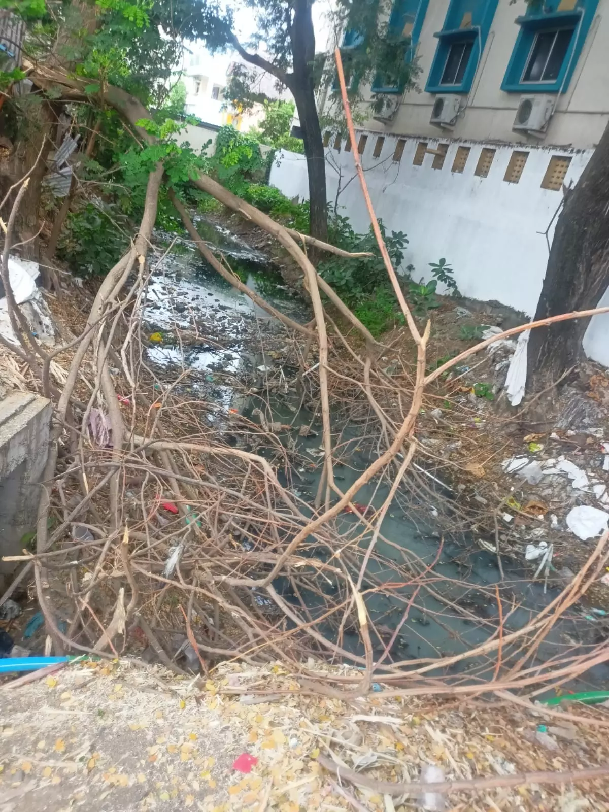 கால்வாய் தூர்வாரப்படுமா?