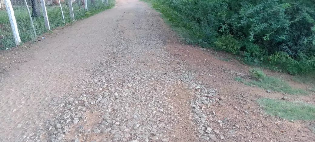 சாலை சீரமைக்கப்படுமா? சாலை சீரமைக்கப்படுமா?