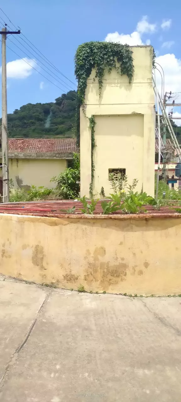 மருத்துவமனையில் மாடித்தோட்டம்