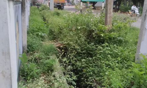 சாக்கடை கால்வாய் தூர்வாரப்படுமா?