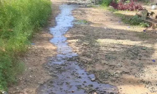 சாக்கடை கால்வாய் வேண்டும்