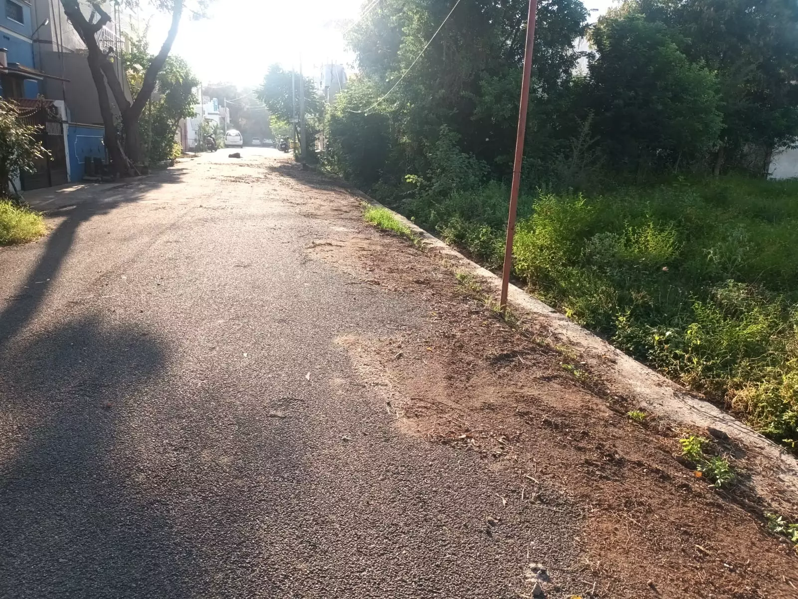 பாராட்டு பாராட்டு