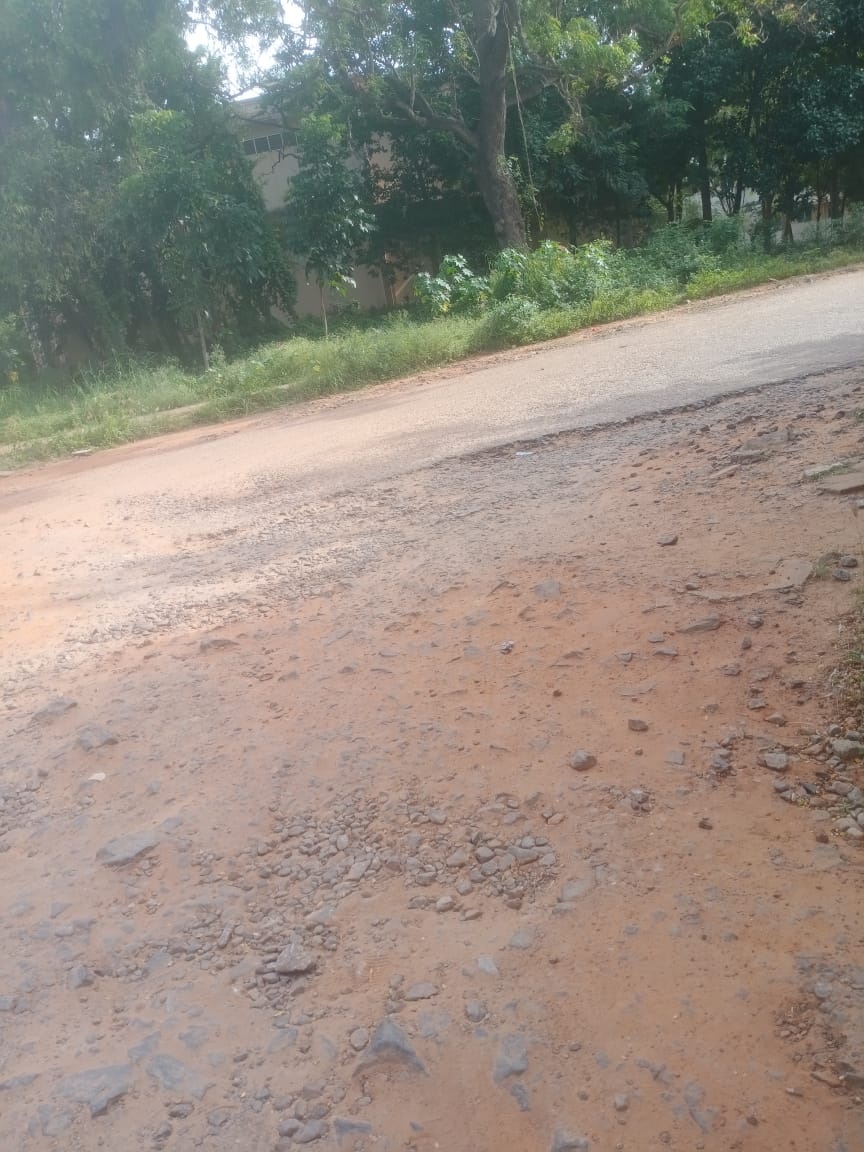 நடவடிக்கை எடுக்க வேண்டும் நடவடிக்கை எடுக்க வேண்டும்