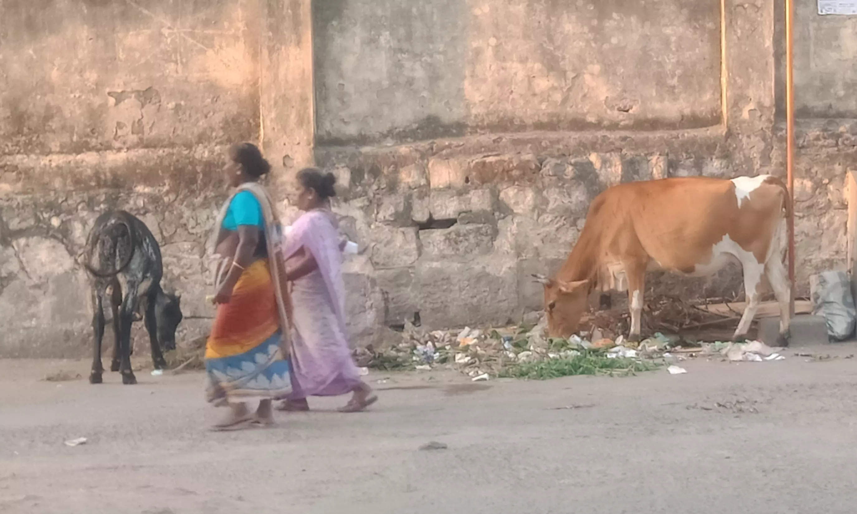 குப்பைத்தொட்டி வைக்கப்படுமா?