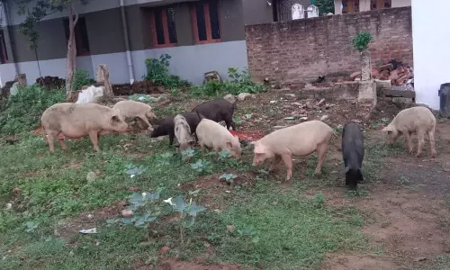 சுகாதார சீர்கேடு