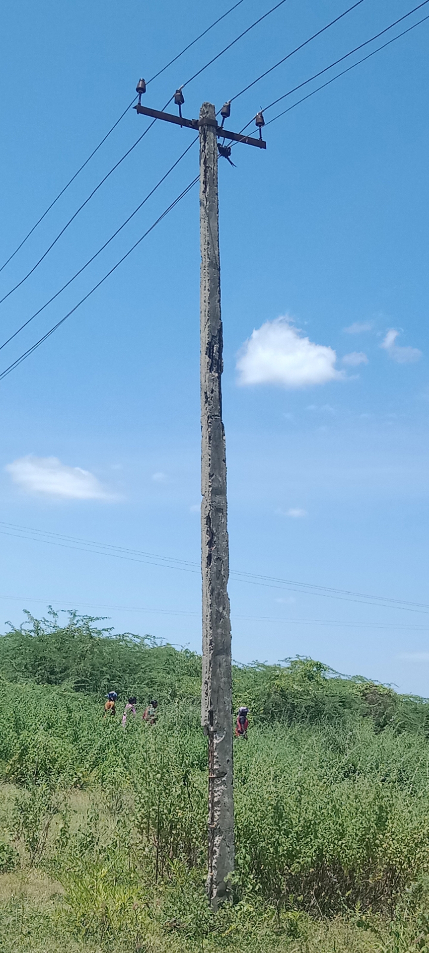 சேதமடைந்த மின் கம்பம்