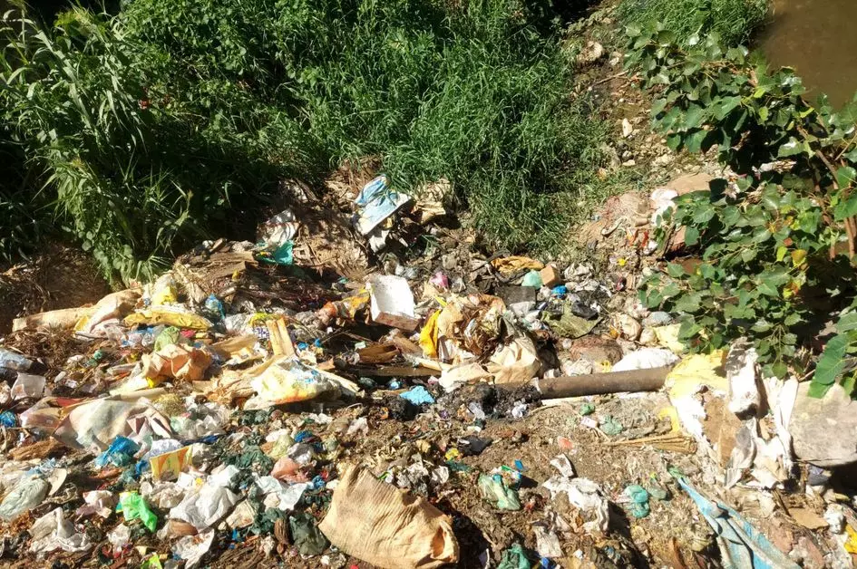 கால்வாயில் இறைச்சி கழிவுகள் கால்வாயில் இறைச்சி கழிவுகள்